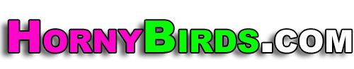 Up to 83% off Horny Birds Discount